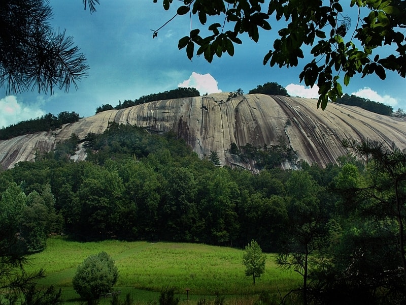 Stone Mountain ascending from behind trees