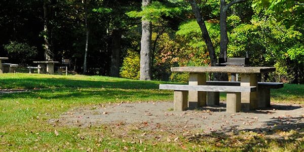 Picnic table at Cumberland Knob