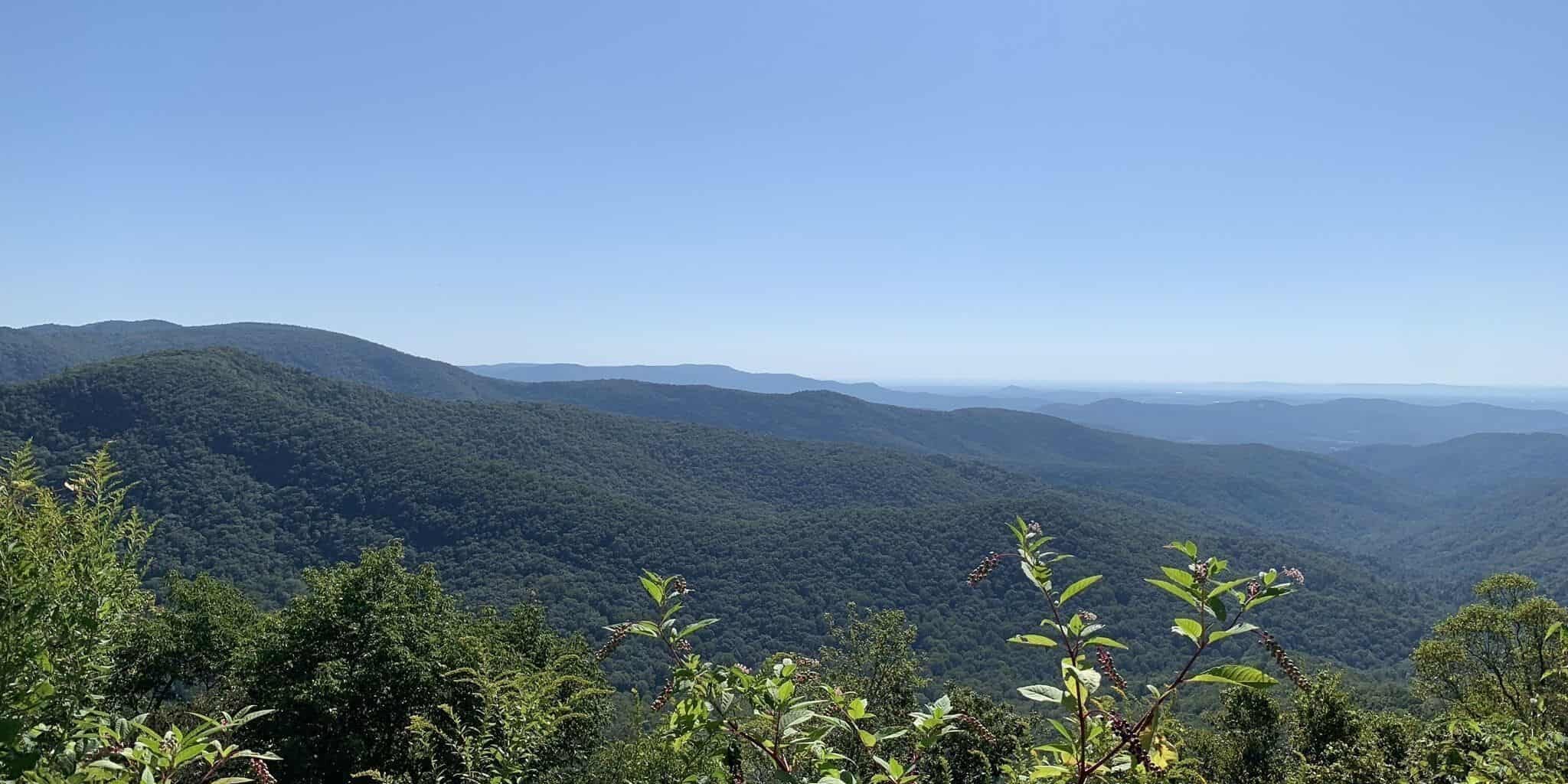 Doughton Park trails overlooks mountain range