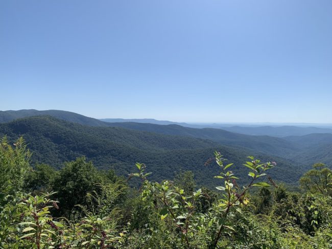 Doughton Park trails overlooks mountain range