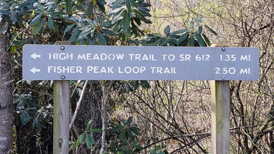 Blue Ridge Music Center hiking trail sign