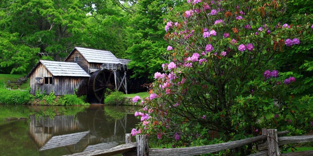 A Place in the Band logo