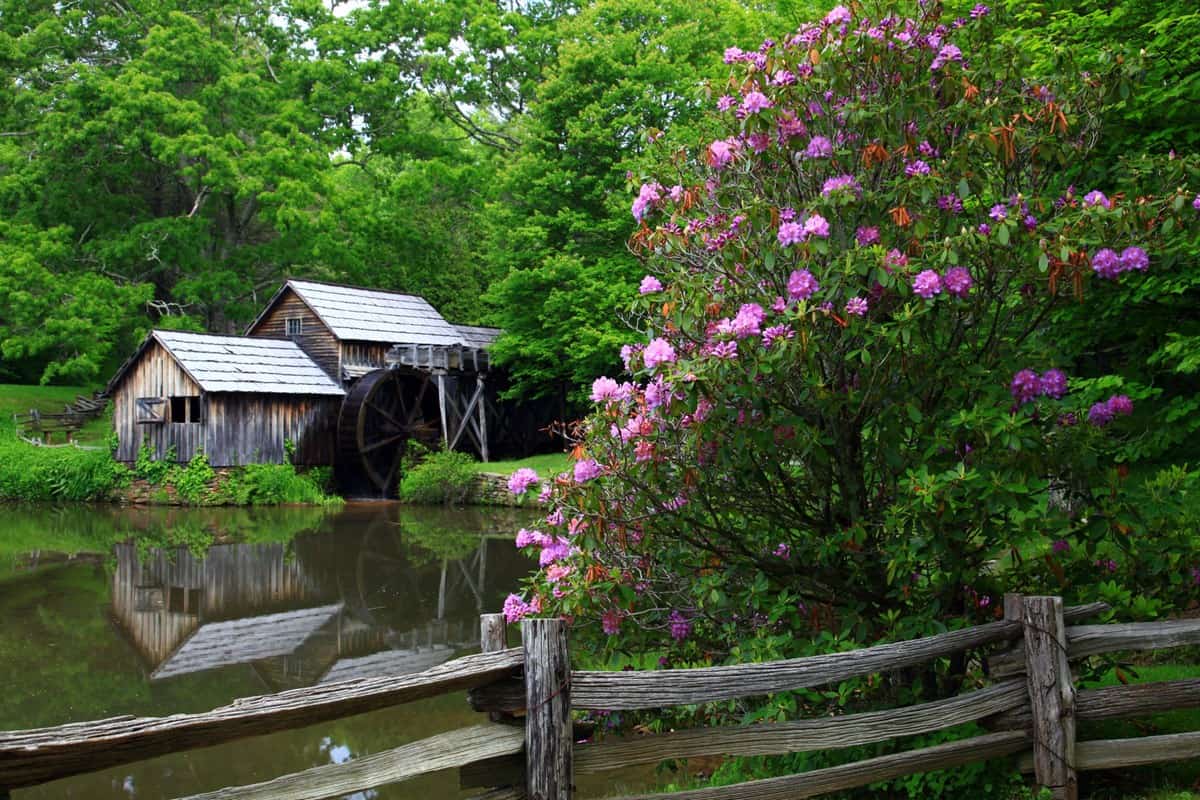 Mabry Mill