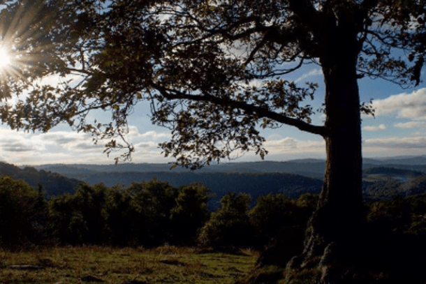 Rocky Knob